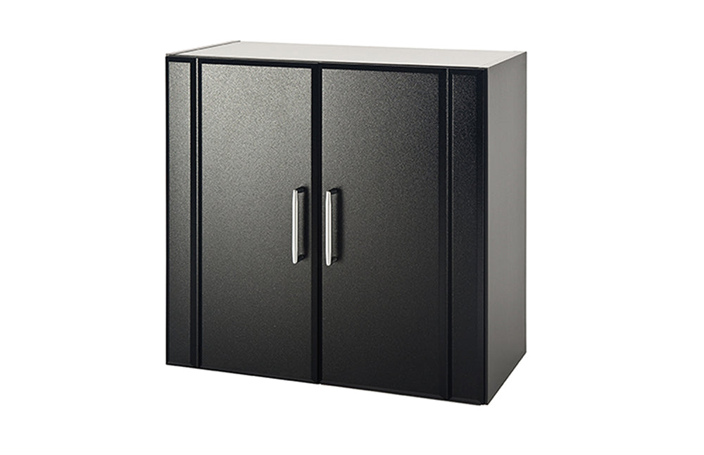 2 DOOR WALL CABINET