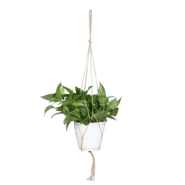 Plant Hanger Pot